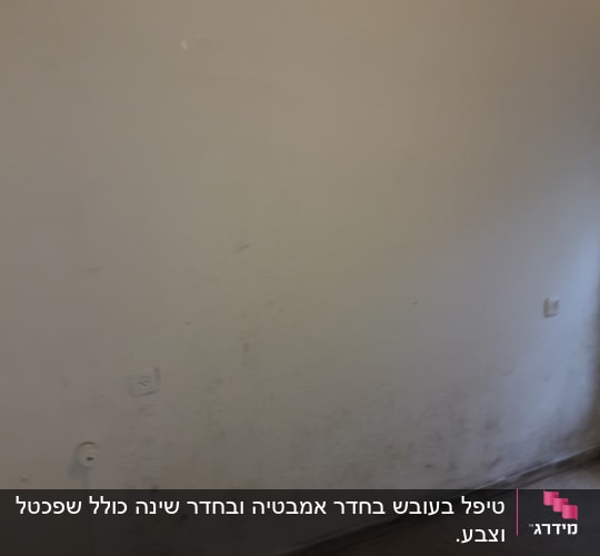 קיר מלוכלך עם סימני עובש וכתמים כהים